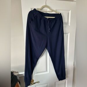 LuLaRoe Navy Jax Jogger Pants in XL